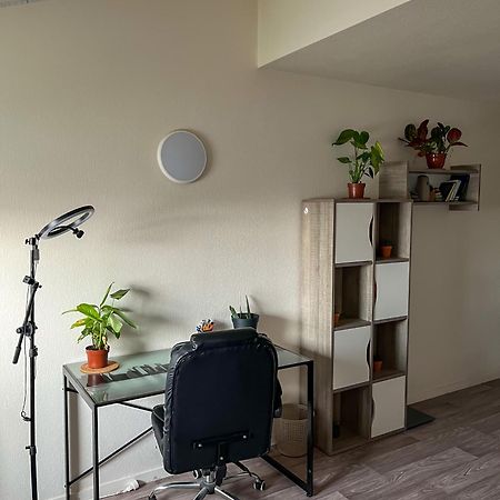 Appartement Location Toulouse Centre Extérieur photo